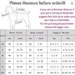yorkie polo chart size