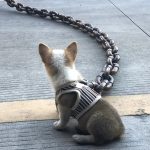 monster dog chain leash
