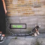 monster dog chain leash