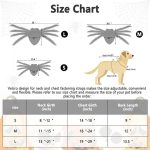 Spider Halloween Yorkie Costume - Image 5