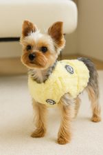fuzzy yorkie vest yorkies gram