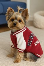 yorkie baseball jacket