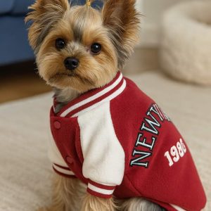 yorkie baseball jacket