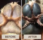 Yorkie SOS Paw Balm - Image 4