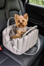 yorkie_carrier_yorkies gram