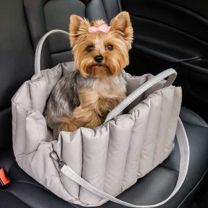 yorkie_carrier_yorkies gram