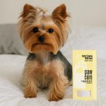 avocado yorkie care products
