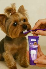 Yorkshire Terrier Toothpaste yorkie care products