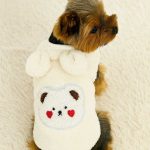 fuzzy bear Yorkie jacket