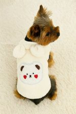fuzzy bear Yorkie jacket