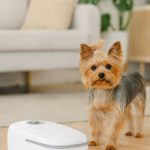 yorkie automatic feeding bowl