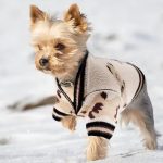 Nude Yorkie Pullover