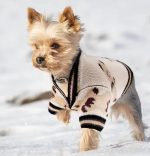 Nude Yorkie Pullover
