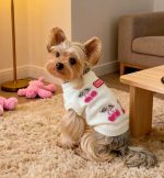 cherry lady yorkie sweater teacup yorkie clothes