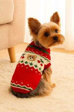 teddy yorkie chrismas sweater yorkies gram