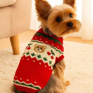 teddy yorkie chrismas sweater yorkies gram