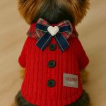 yorkie holiday sweater yorkies gram