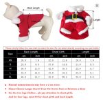 yorkie santa costume
