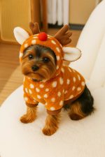 yorkie rudolph photo