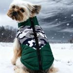 camo yorkie harness vest 21