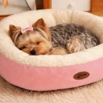 Yorkie Nest Bed