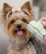 Yorkie Sleek Brush