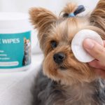 yorkie tear stain wipes