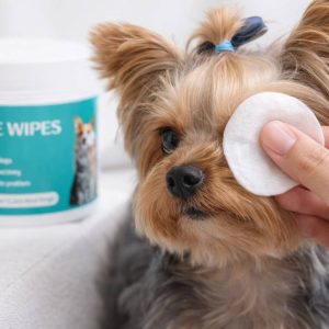yorkie tear stain wipes