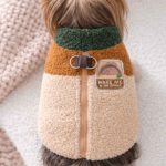 teddy yorkie harness vest