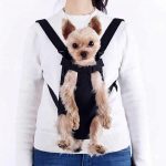 Yorkie Dog Carrier - Image 4