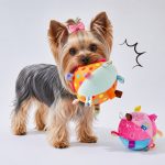 yorkies-gram-toy
