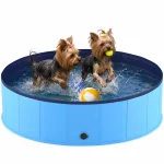 Yorkie Splash Pool