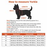Dragon Yorkie Life Jacket - Image 3