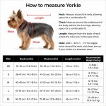 ChinUp Yorkie Life Vest - Image 3