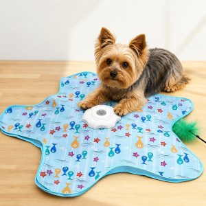 Automatic Self-Play Yorkie Teaser Toy