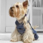 Yorkie Denim Overalls
