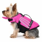 Dragon Yorkie Life Jacket